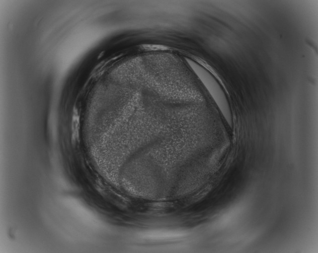 X0000100881151200807181253