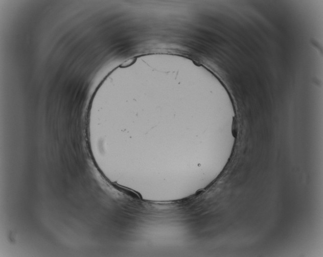 X0000100881152200807181253