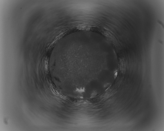 X0000100881154200807181252