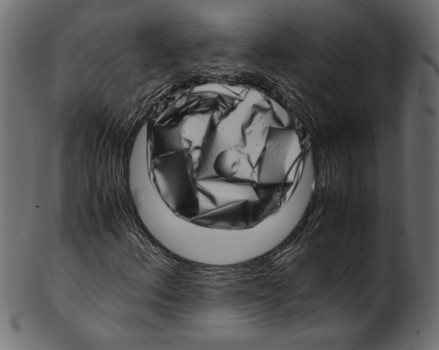 X0000100881156200807181252