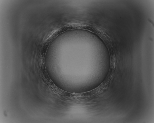 X0000100881157200807181252