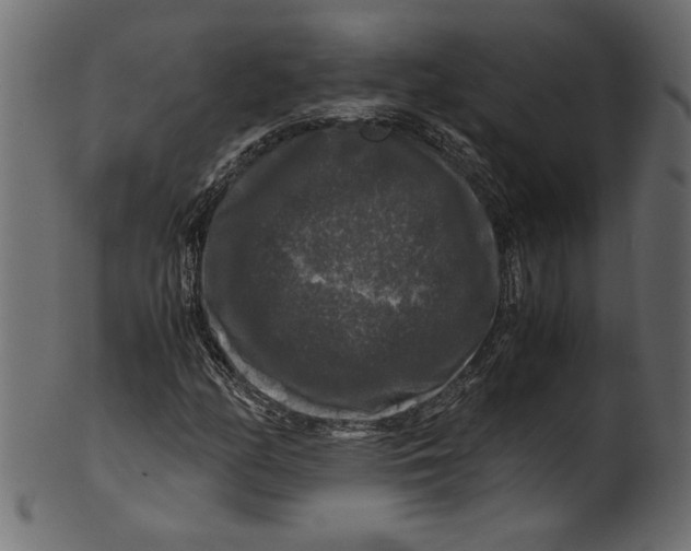 X0000100881158200807181252