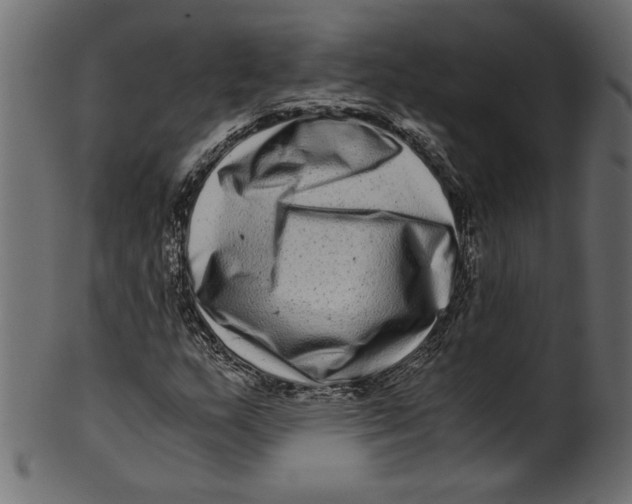 X0000100881159200807181252