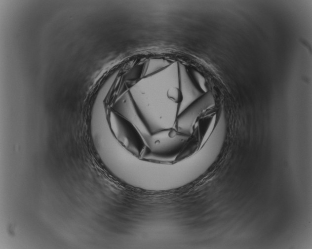 X0000100881160200807181252