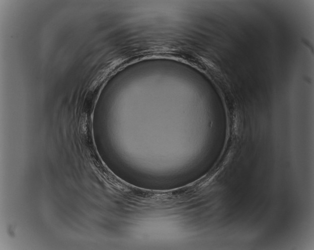 X0000100881161200807181252