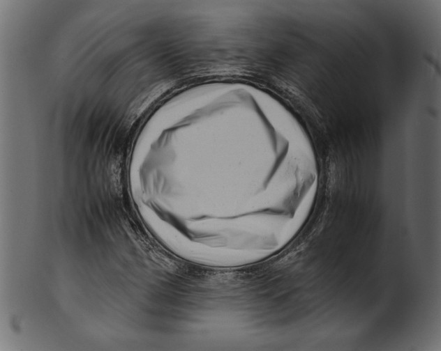 X0000100881162200807181252