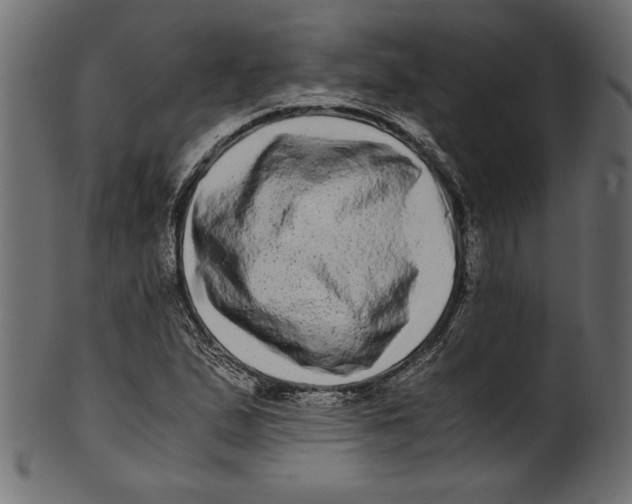 X0000100881167200807181252