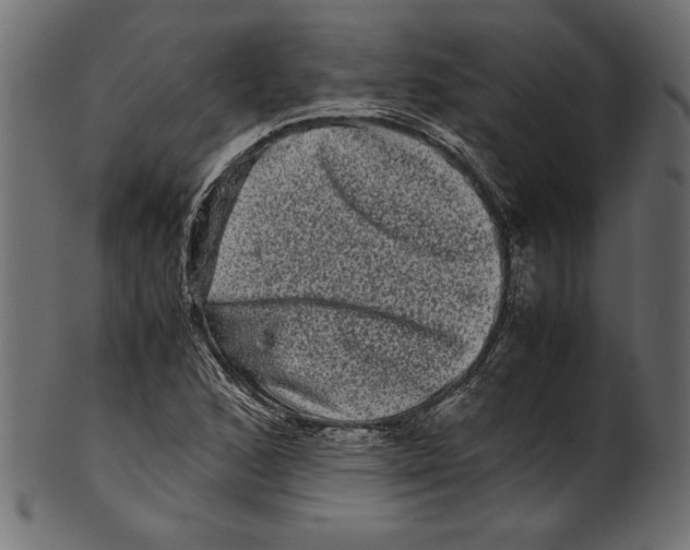 X0000100881168200807181252