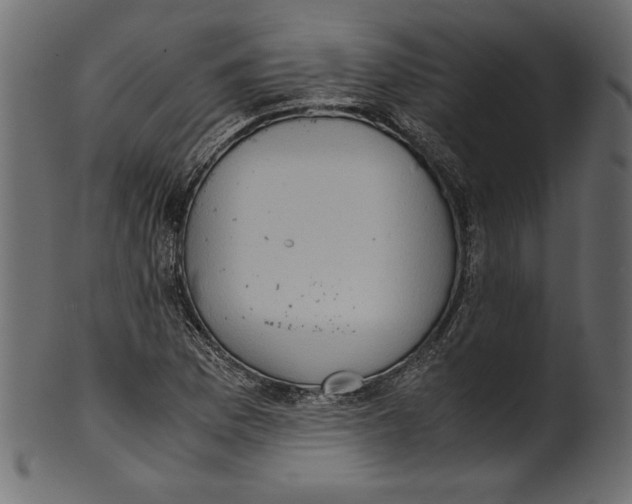 X0000100881169200807181252