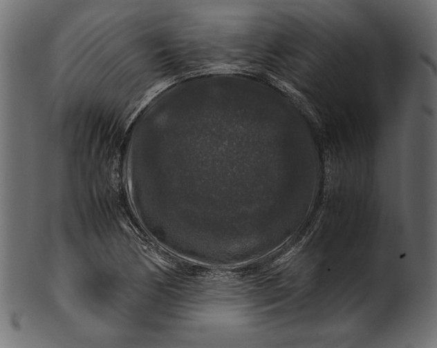 X0000100881170200807181252