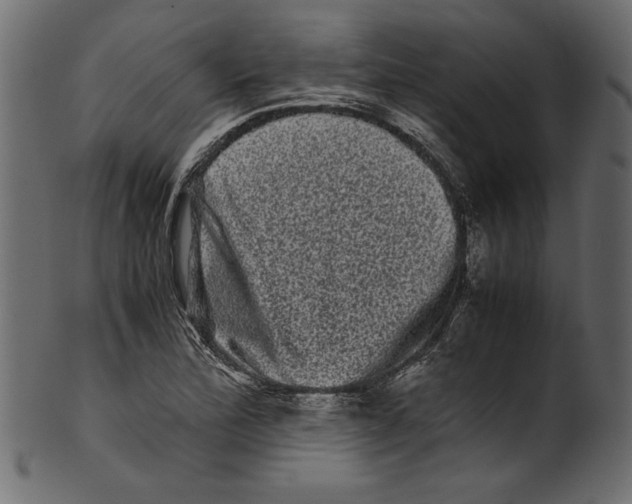 X0000100881172200807181252