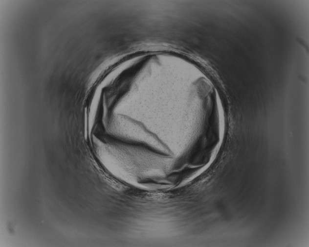 X0000100881175200807181252