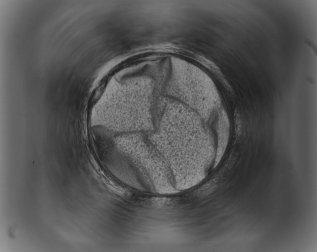 X0000100881176200807181252