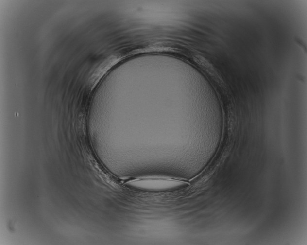 X0000100881177200807181252