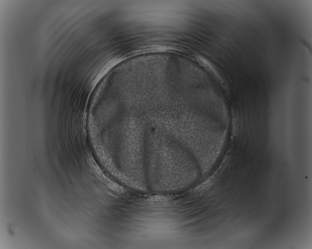 X0000100881178200807181252