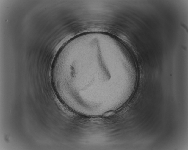 X0000100881181200807181252