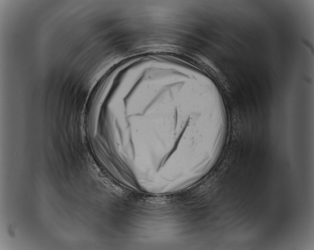 X0000100881182200807181252