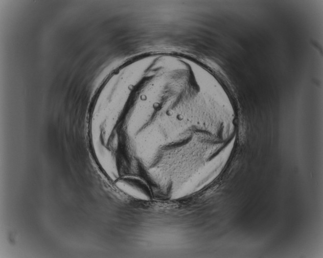 X0000100881183200807181252