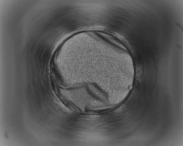 X0000100881184200807181252