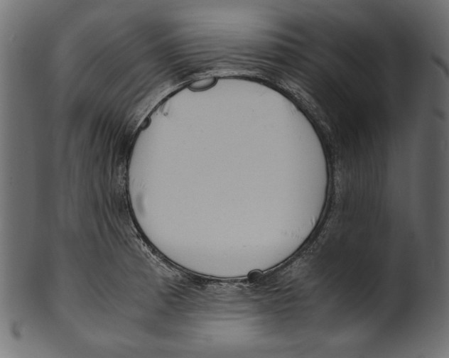 X0000100881185200807181252