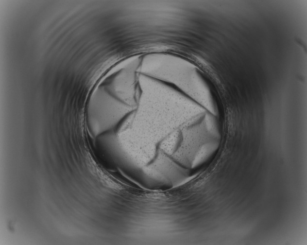 X0000100881186200807181252