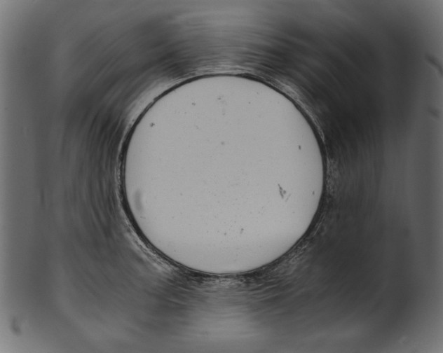 X0000100881187200807181252