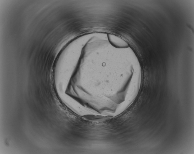 X0000100881190200807181252