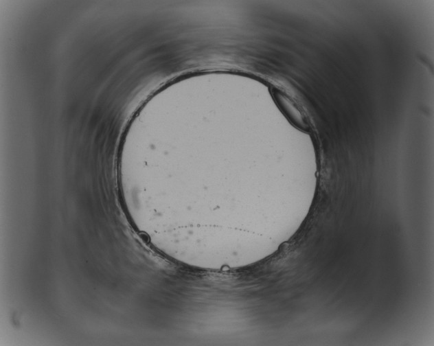 X0000100881191200807181252