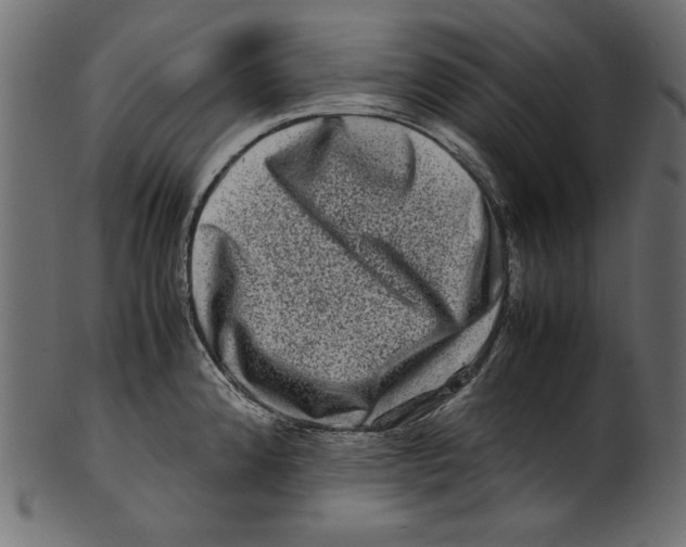 X0000100881192200807181252