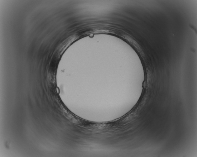 X0000100881193200807181252