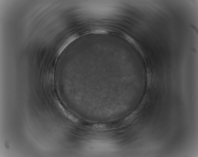 X0000100881194200807181252