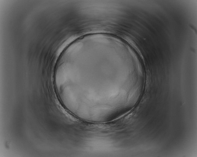 X0000100881197200807181252