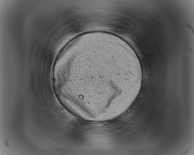 X0000100881199200807181251