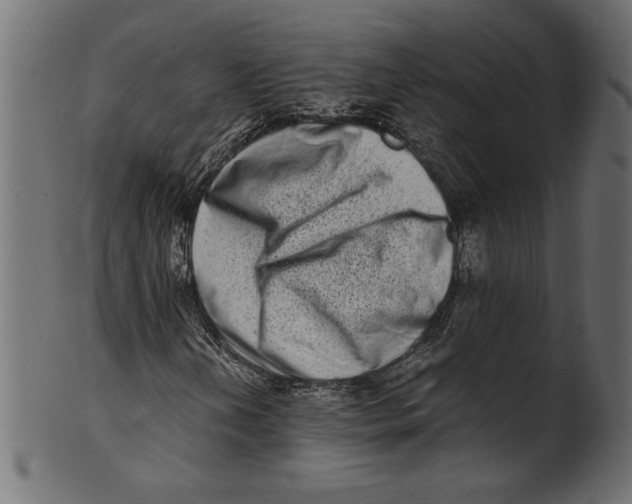 X0000100881202200807181251