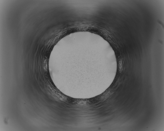 X0000100881204200807181251