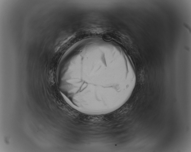 X0000100881205200807181251