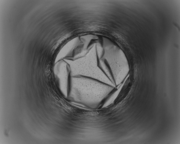 X0000100881210200807181251