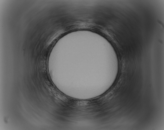 X0000100881211200807181251