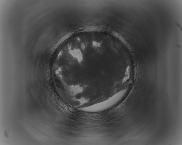 X0000100881213200807181251