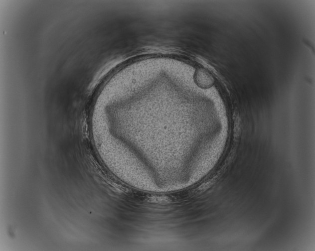 X0000100881215200807181251