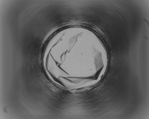 X0000100881216200807181251