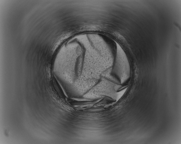 X0000100881218200807181251