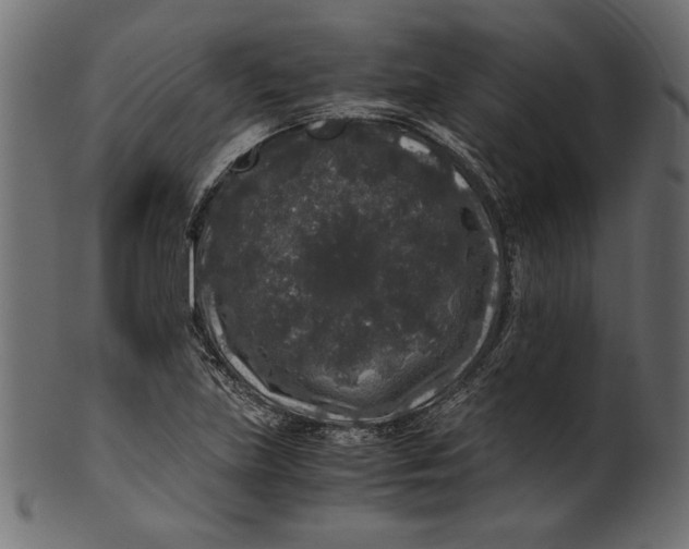 X0000100881219200807181251