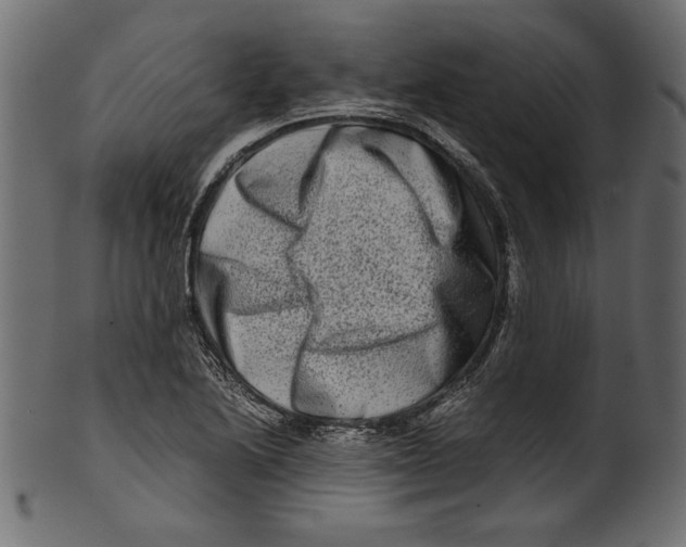 X0000100881222200807181251