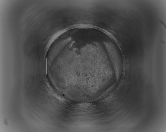 X0000100881223200807181251