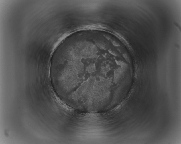 X0000100881224200807181251