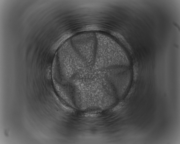 X0000100881225200807181251