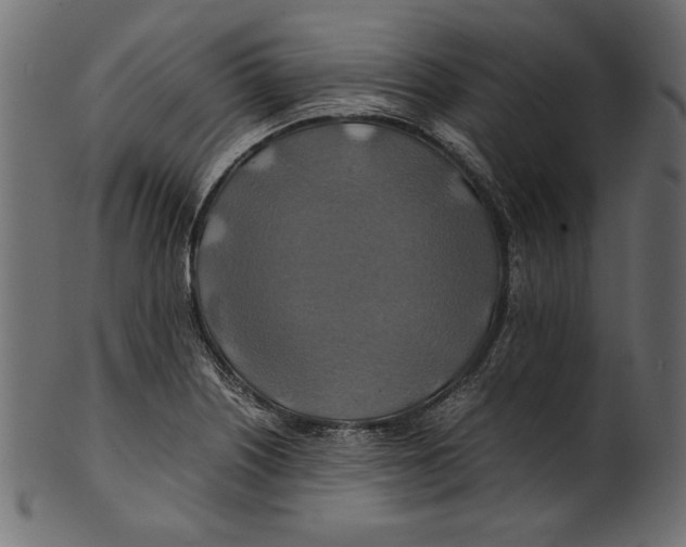 X0000100881226200807181251