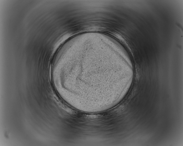 X0000100881227200807181251