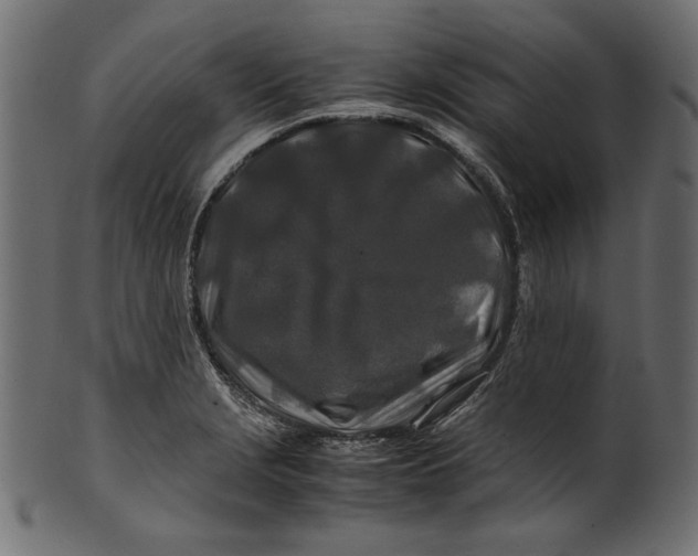 X0000100881229200807181251